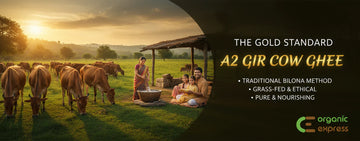 HOW DOES A2 GIR COW GHEE STAND OUT FROM OTHER DESI A2 GHEE?