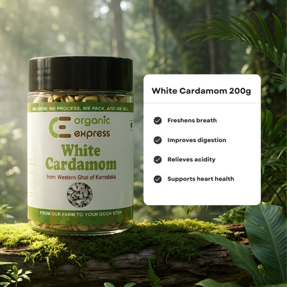 Organic Express White Cardamom/ Elachi 200 GMS