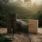 Gift of joy (6x100 g) cofee