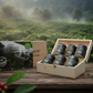 Gift of joy (6x100 g) cofee