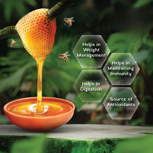 Forest Honey 500g | Raw & Unfiltered Wildflower