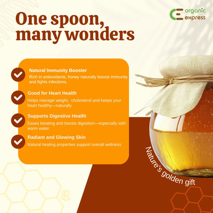 Forest Honey 500g | Raw & Unfiltered Wildflower